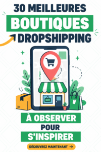 Une collection inspirante de boutiques de dropshipping en ligne