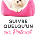 Illustration représentant les requêtes web dans un contexte d'optimisation SEO