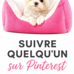 Illustration représentant les requêtes web dans un contexte d'optimisation SEO