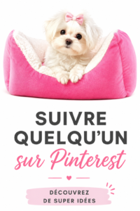 Illustration représentant les requêtes web dans un contexte d'optimisation SEO